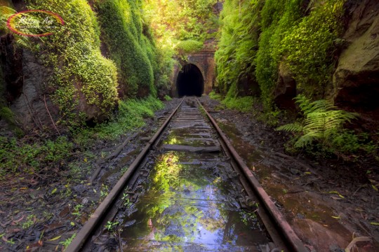 Old Helensburgh Railway Tunnel (Ref: SC040)