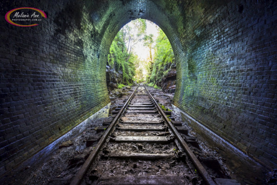 Old Helensburgh Railway Tunnel (Ref: SC029)