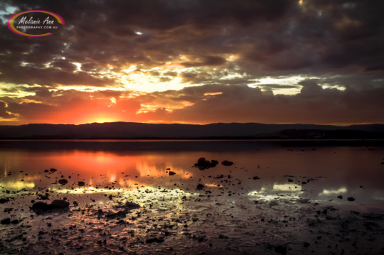 Lake Illawarra (Ref: SC004)