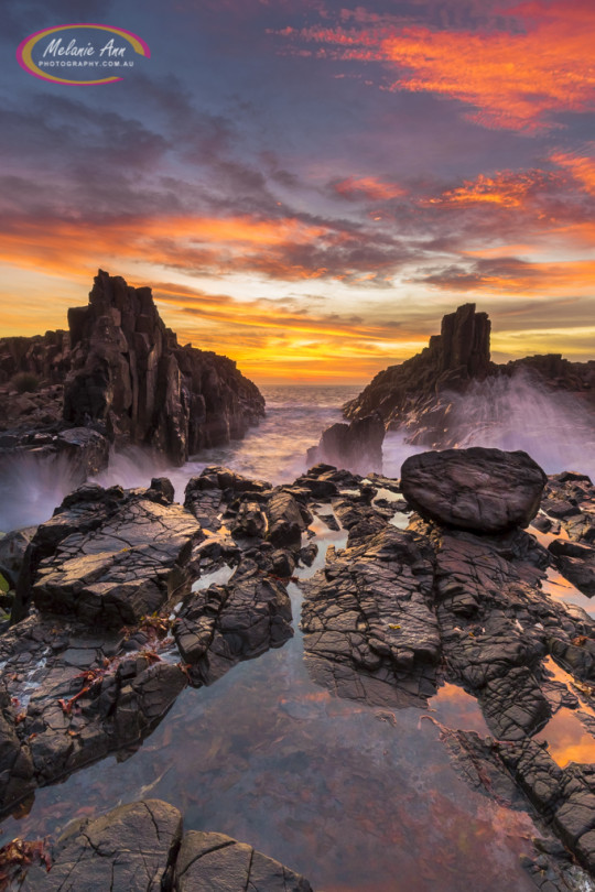 Old Bombo Quarry, Kiama (Ref: SC031)