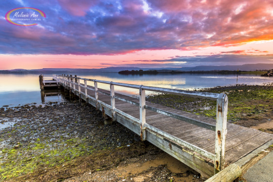 Lake Illawarra (Ref: SC025)